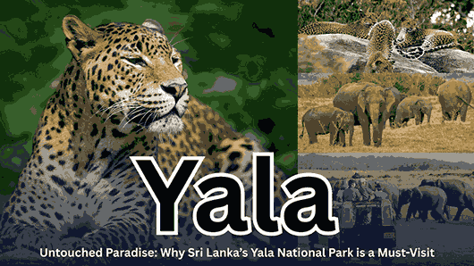 Yala Sri Lanka Featured img