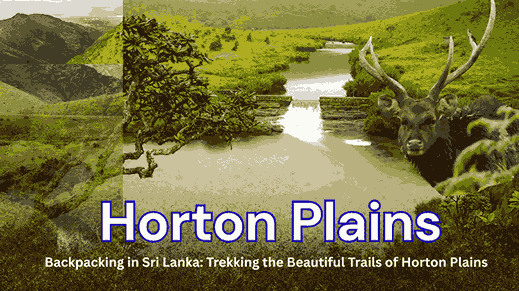 Horton Plains img