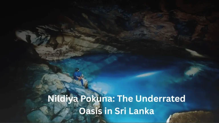 NilDiya Pokuna Featured Img