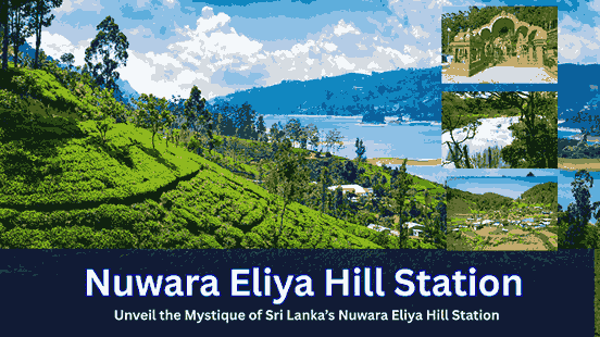 Nuwaraeliya Featuired img